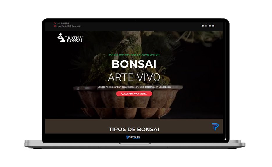 Orathai Bonsai: imagen del sitio web publicada por Creata